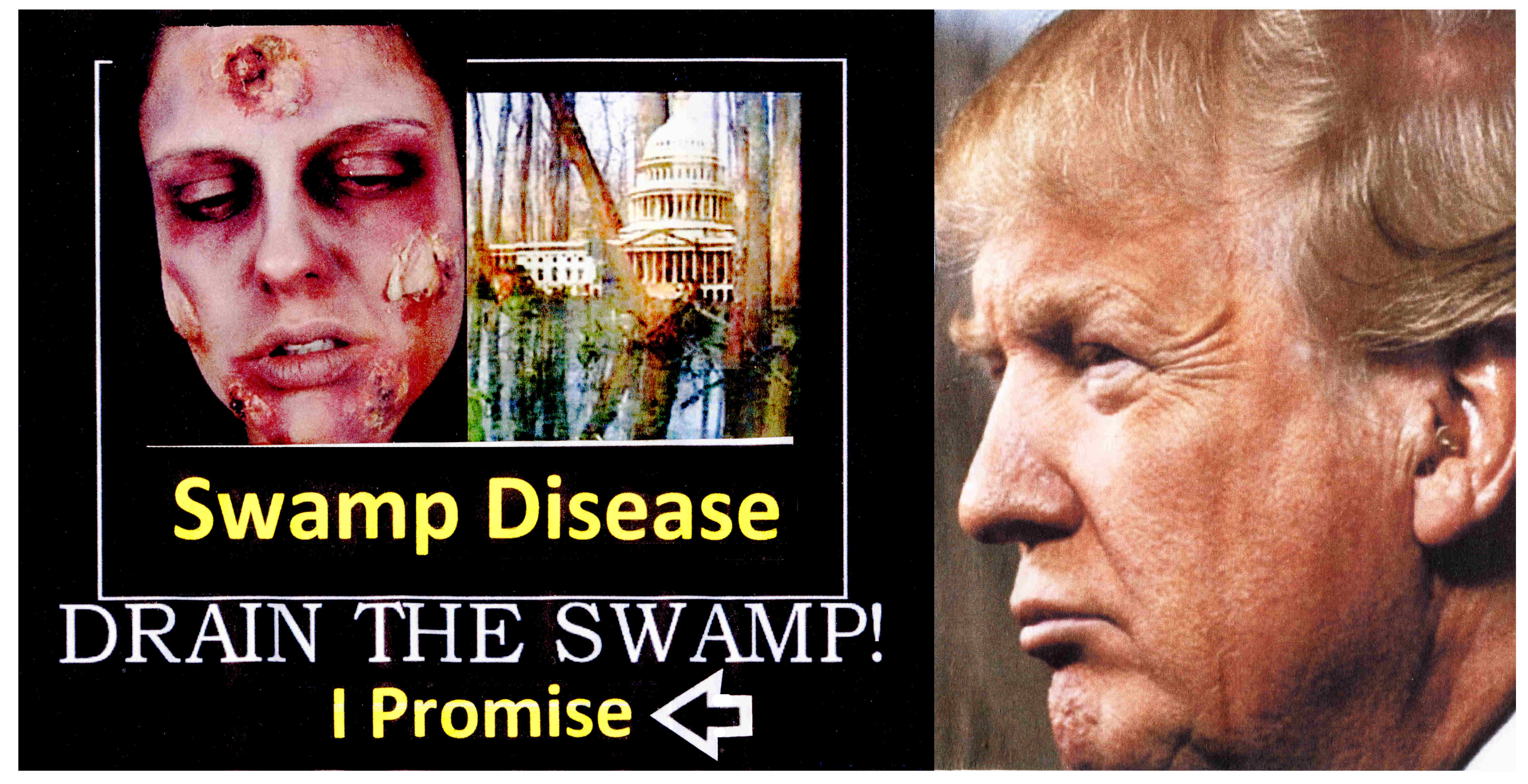 Drain the Swamp.jpg